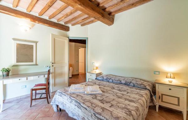 Scopaie Apartamento Podere Poggiaccio Exterior foto